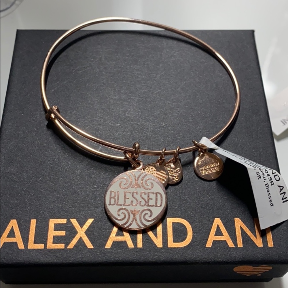 Alex and Ani charm bracelet